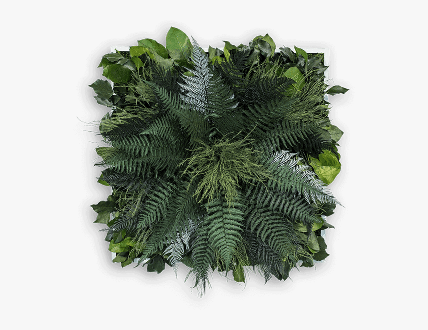 Interior Design, HD Png Download