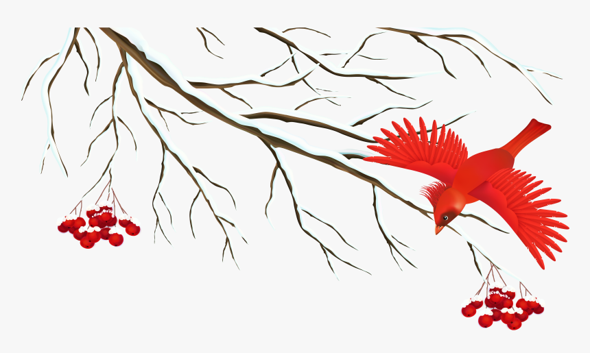 Branch Snow Clip Art - Winter Birds Clip Art, HD Png Download
