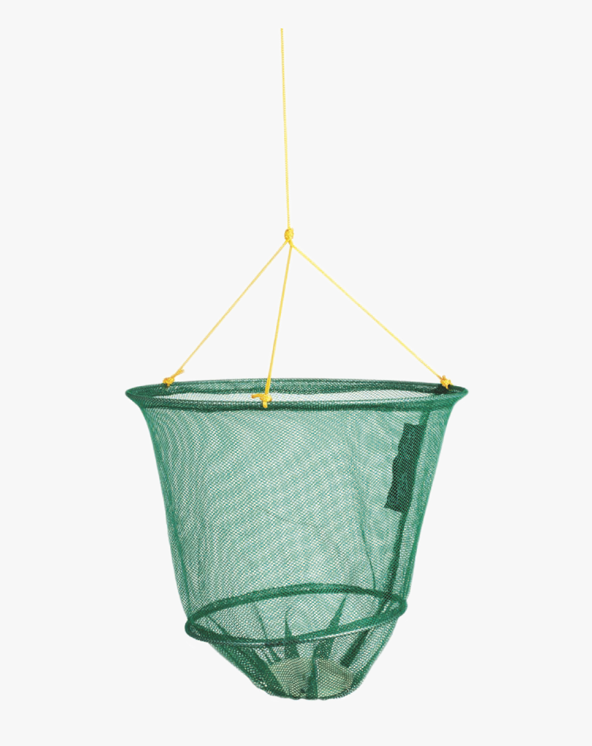 31-642g - Net, HD Png Download