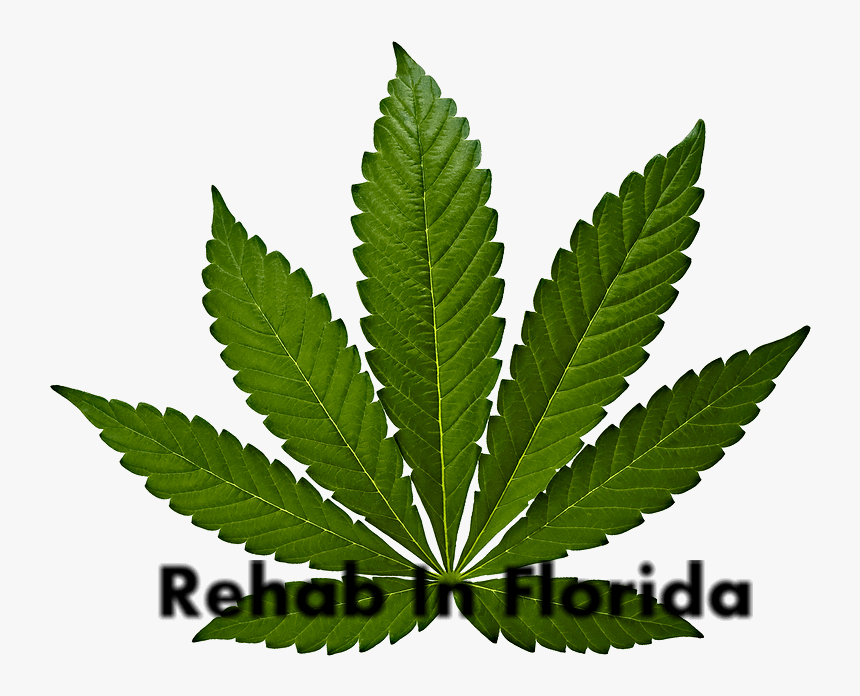 Rehab For Marijuana Abuse - Marijuana Png, Transparent Png