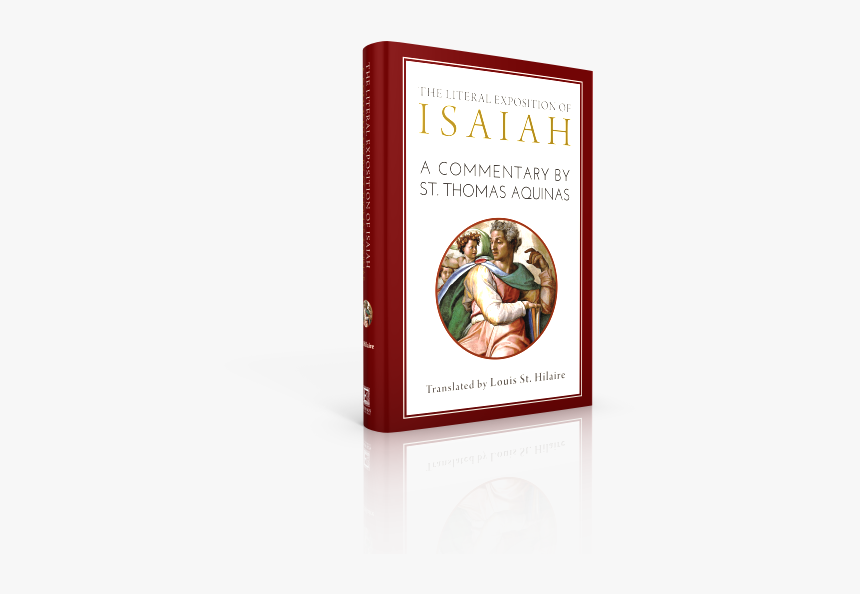 Ea Web-3d Render - African Grey, HD Png Download