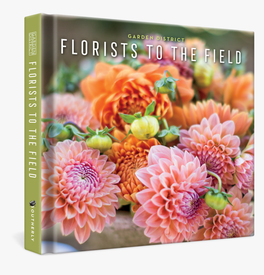Florists To The Field - Common Zinnia, HD Png Download