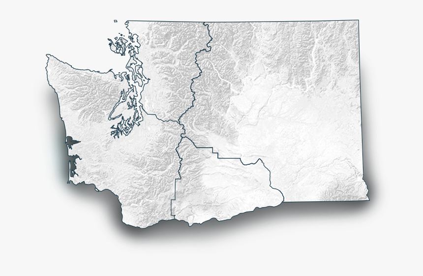 Cows Gotta Keep Their Cool - Mount Baker Ranger District, HD Png Download