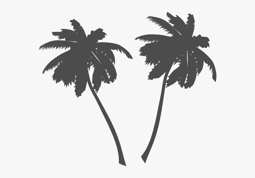 Transparent Plam Tree Clipart - Palm Trees Vector Png, Png Download
