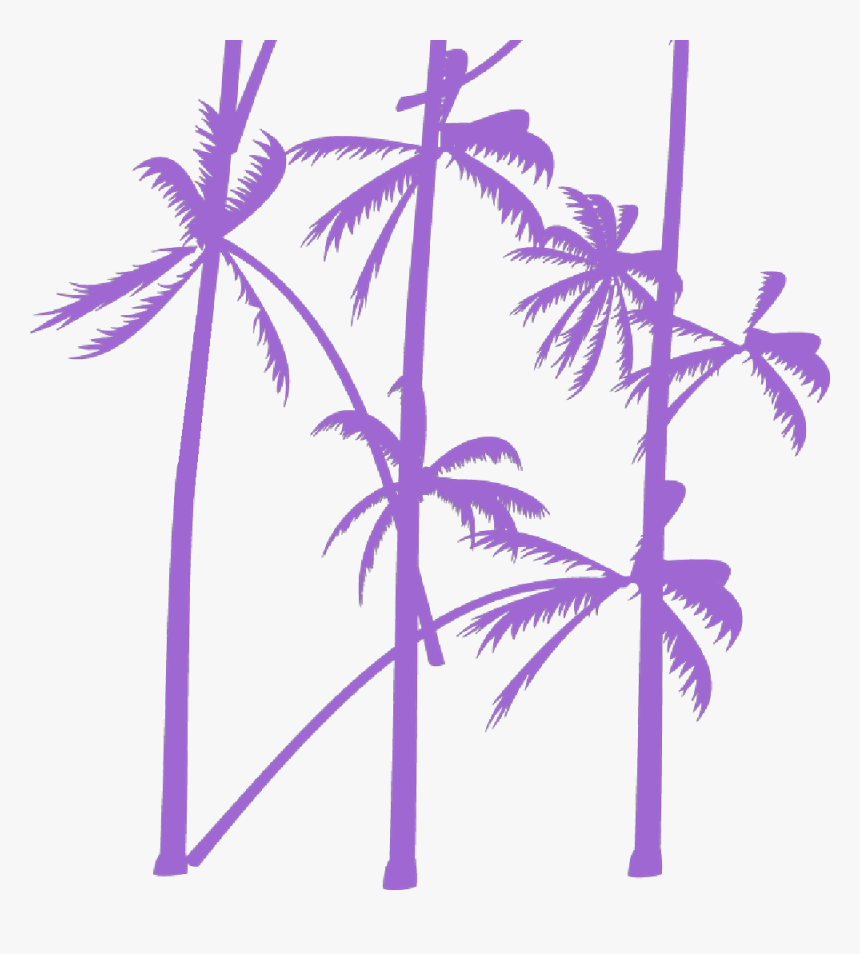 Palm Tree Vector - Attalea Speciosa, HD Png Download