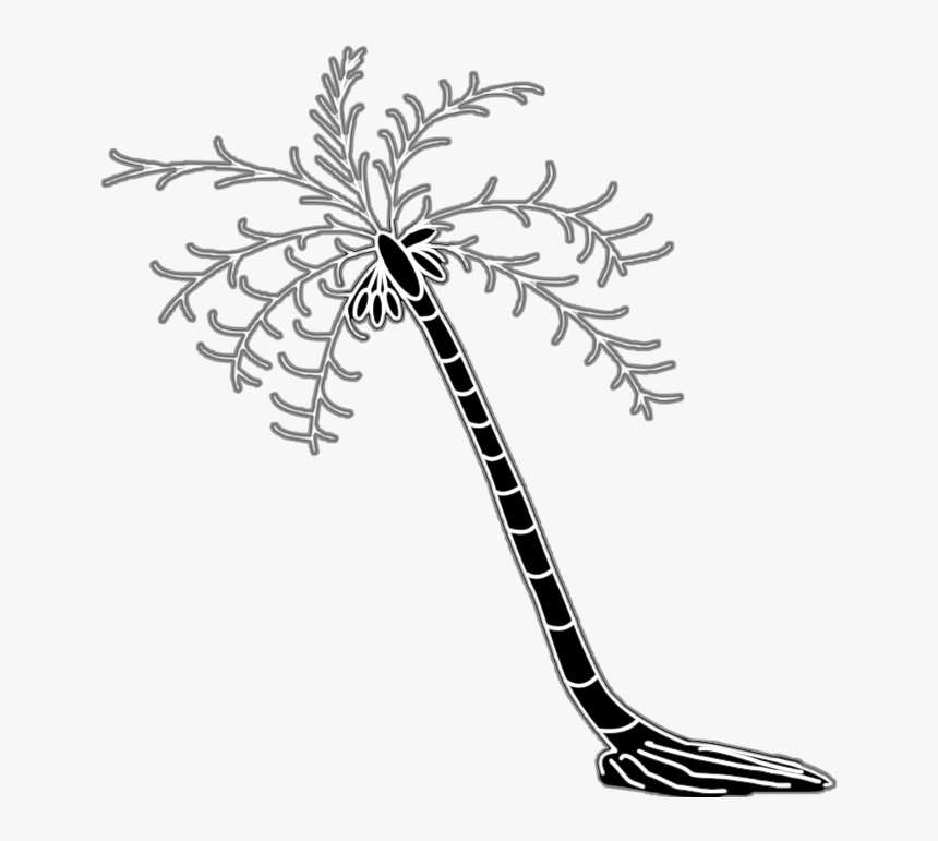 Coconut Tree Vector, HD Png Download