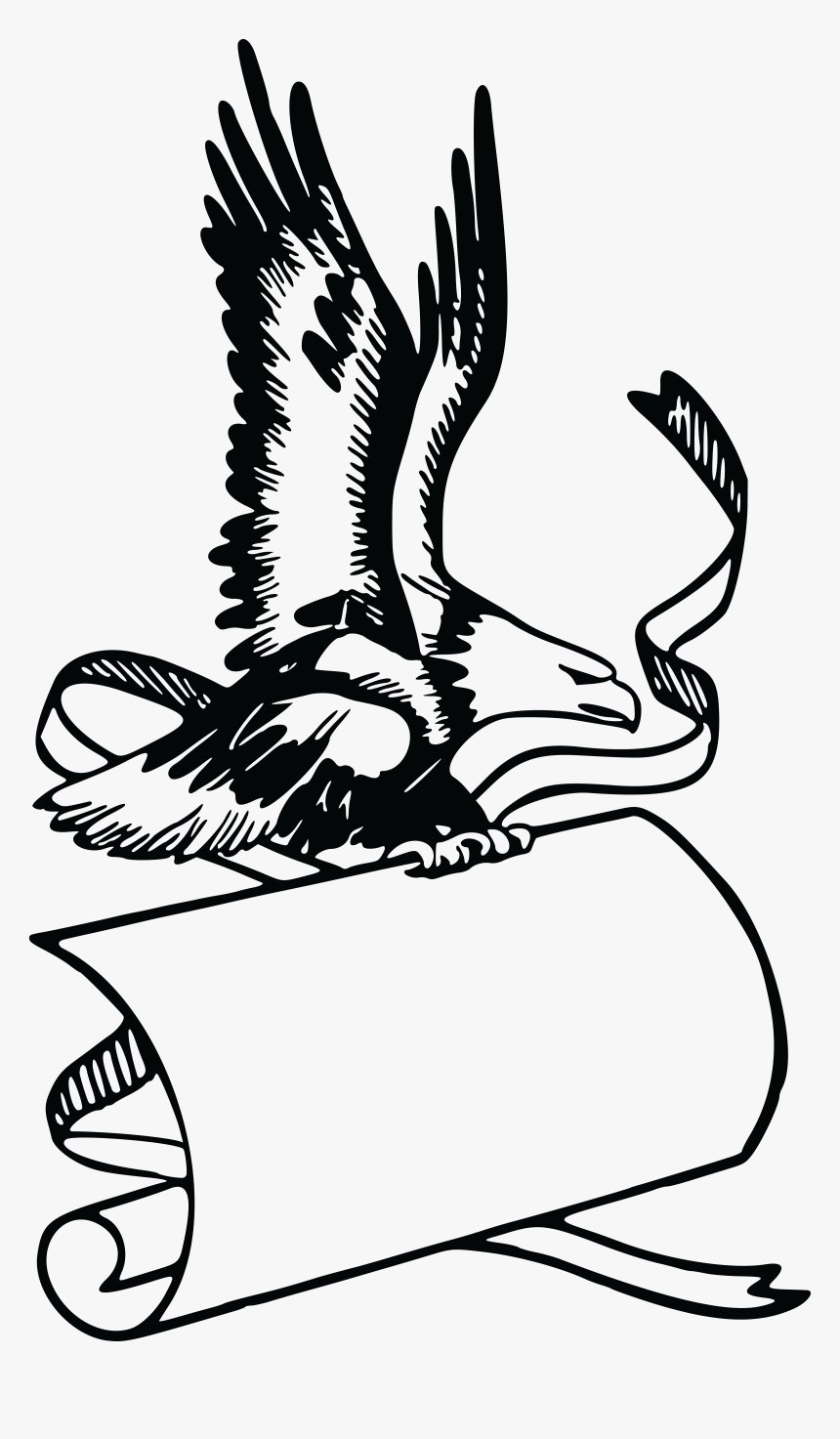 Free Clipart Of A Banner And Bald Eagle - Bald Eagle Free Clipart, HD Png Download
