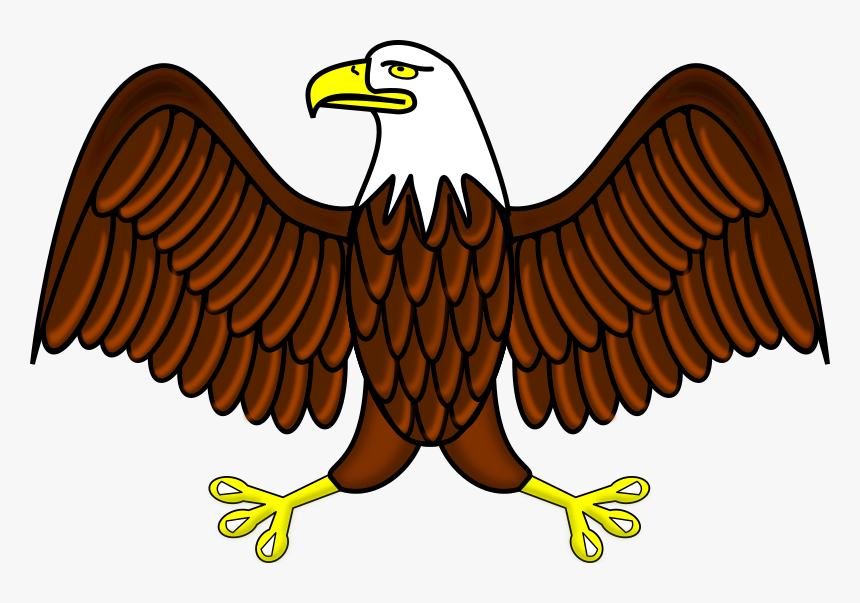 Bald Eagle - Eagle Clipart, HD Png Download