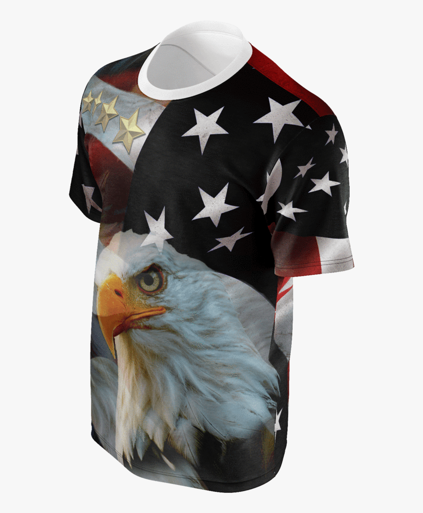 Bald Eagle, HD Png Download