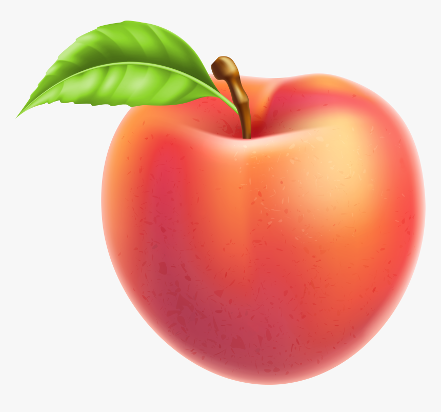 Peaches Clipart Fruit Plant - Peach Fruit Clipart, HD Png Download