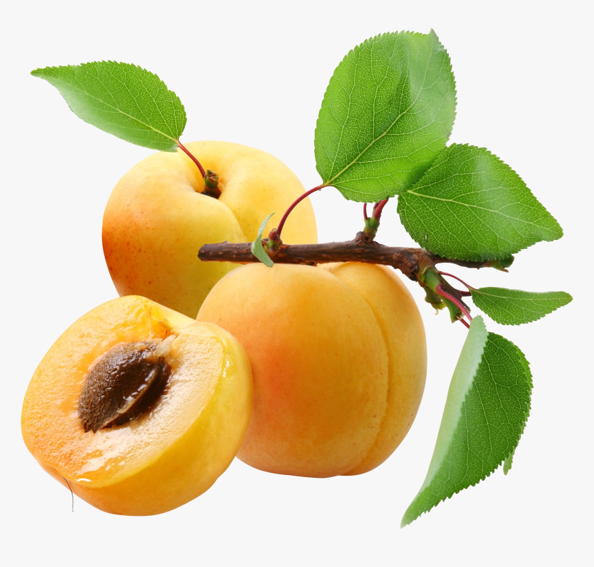 Apricots Png, Transparent Png