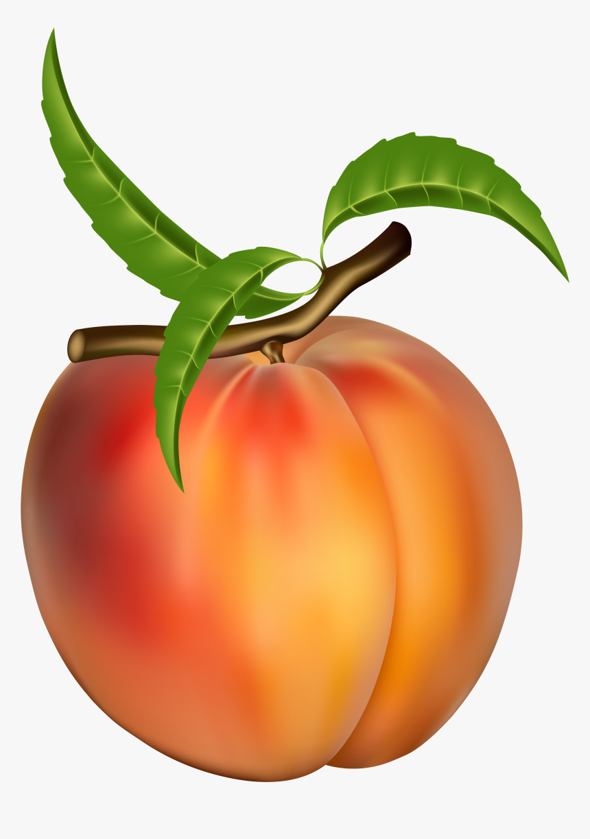 Peach Clip Art Images - Peach Fruit Clipart, HD Png Download