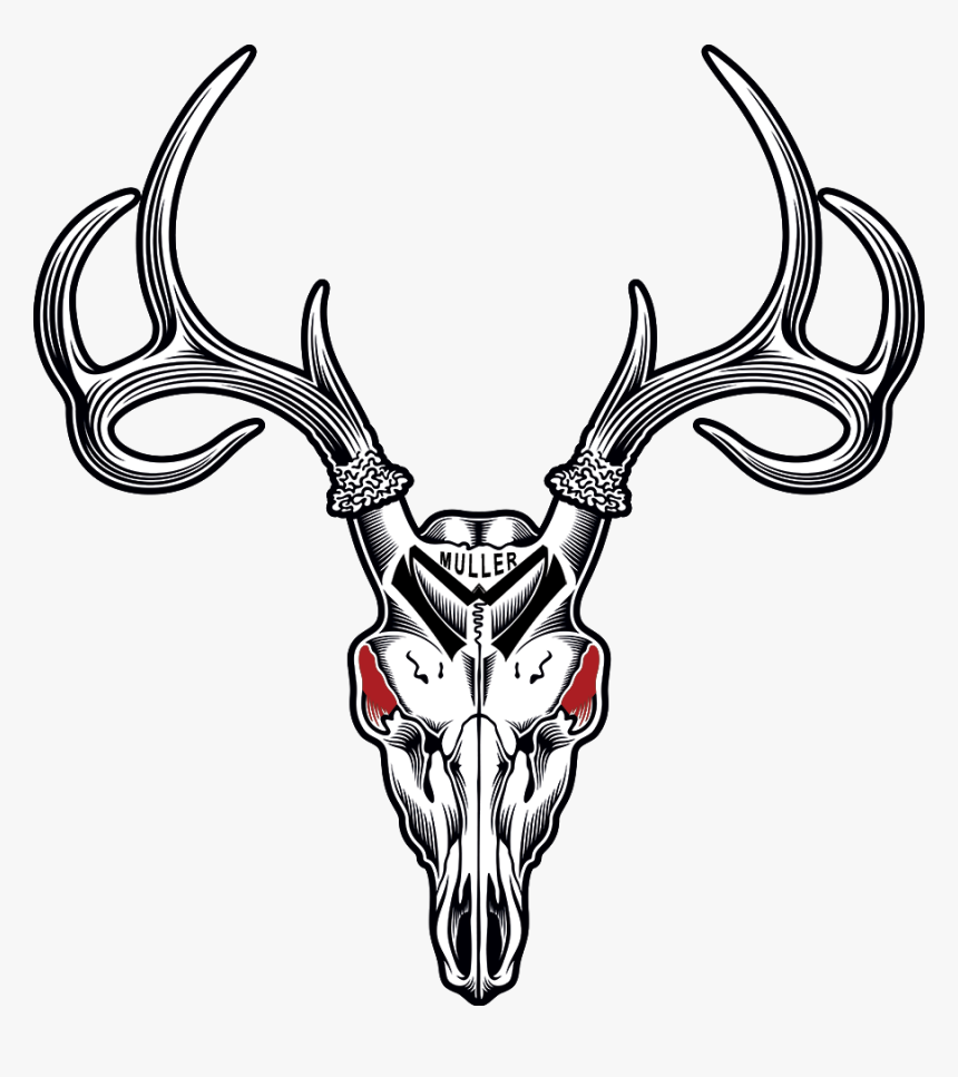 Deer Skull Clipart, HD Png Download