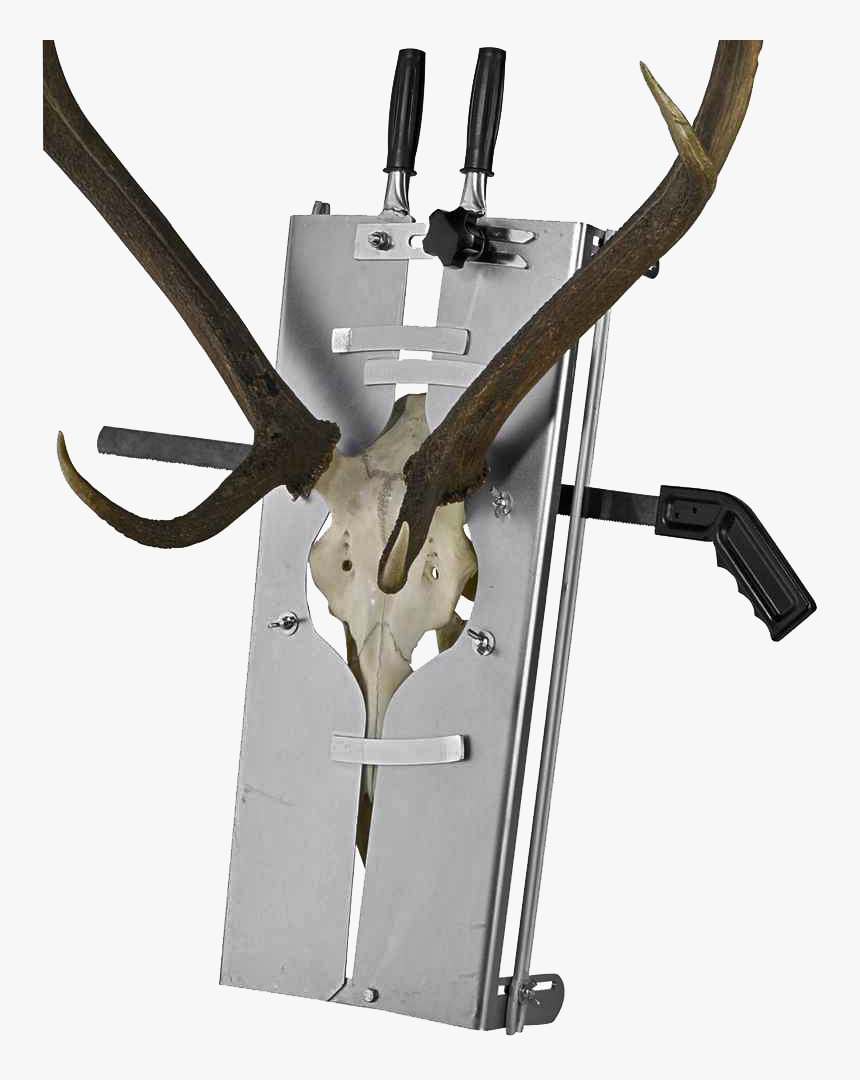 Deer Skull Saw Jig, HD Png Download