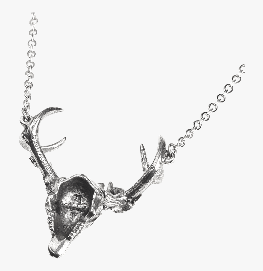 Necklace, HD Png Download