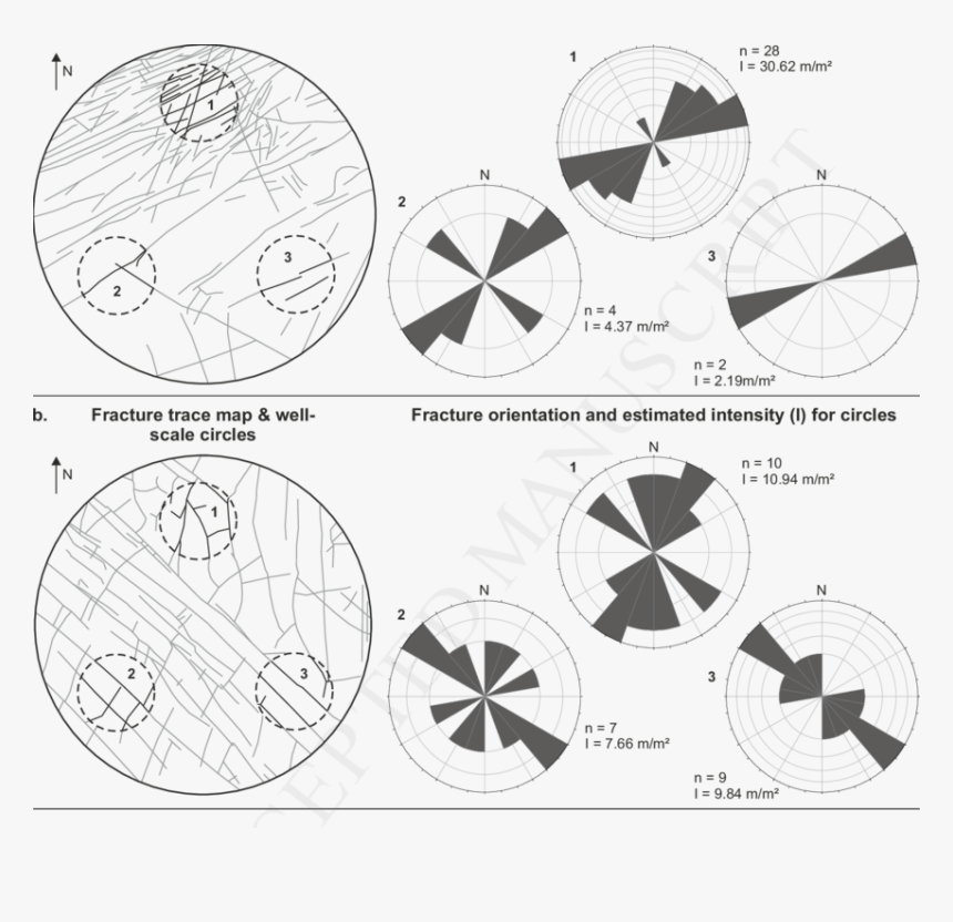 Circle, HD Png Download