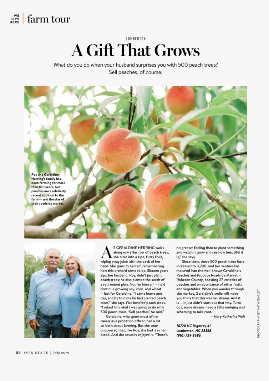 Geraldine S Peaches - Folio Seven From Burchard Of Sion's De Locis Ac Mirabilibus, HD Png Download