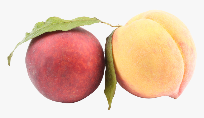 Peach Png Image - عکس با کیفیت هلو, Transparent Png