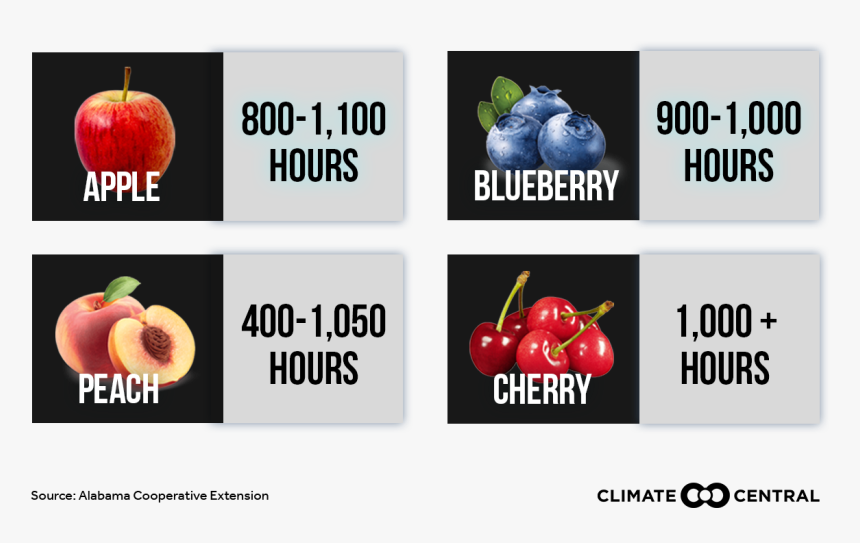 Natural Foods, HD Png Download