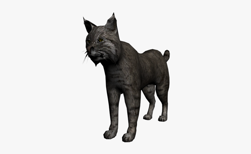 Red Dead Wiki - Bobcat Red Dead Redemption, HD Png Download