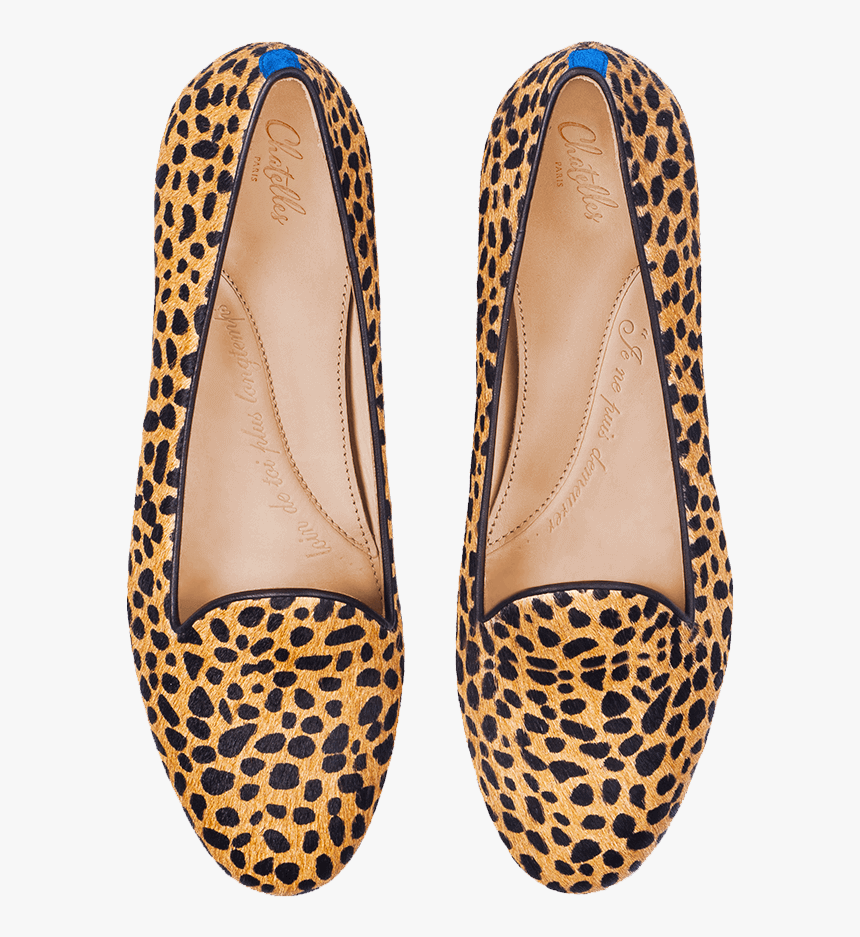 Ballet Flat, HD Png Download