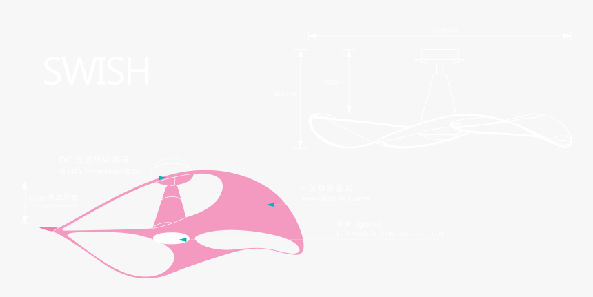 Dolphin, HD Png Download