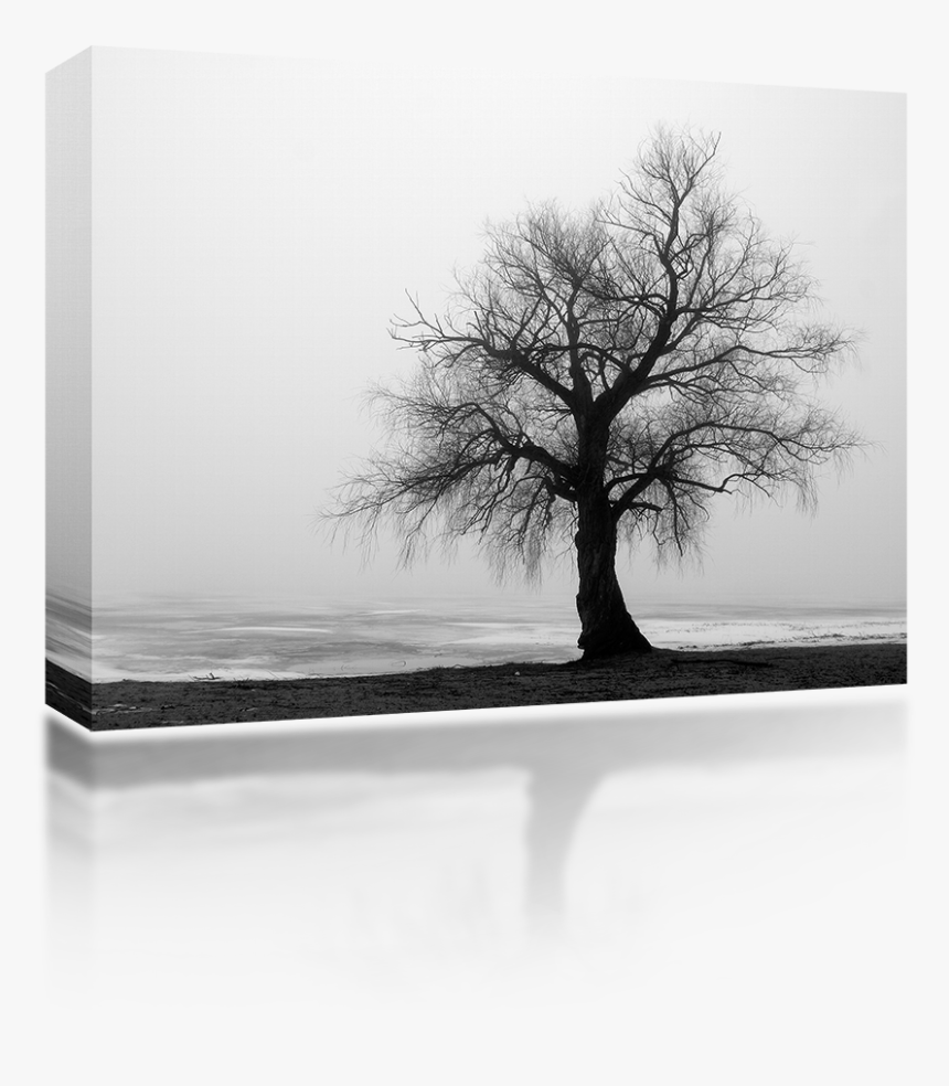 Wisgoon, HD Png Download