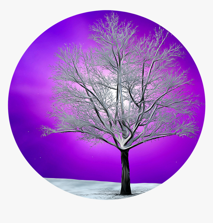 Circle, HD Png Download