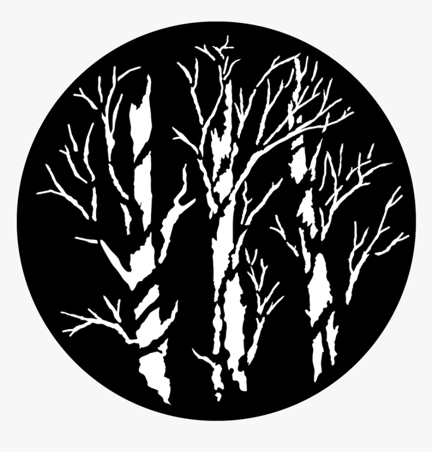 Apollo Winter Trees - Apollo Winter Trees Gobo, HD Png Download
