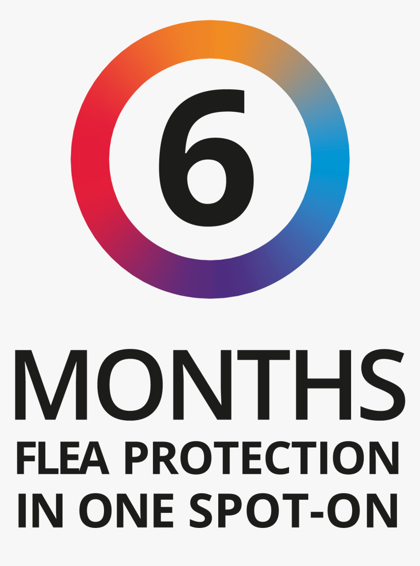 Bravecto 12 Week Flea & Tick Protection 
 Height - Eurotech, HD Png Download