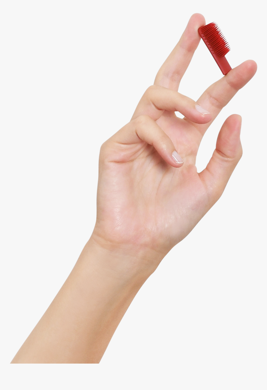 شست بند آتل دار, HD Png Download