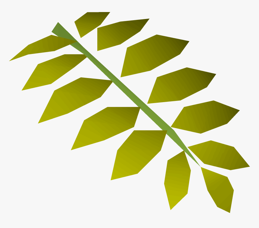 Old School Runescape Wiki - Curry Leaf Png, Transparent Png
