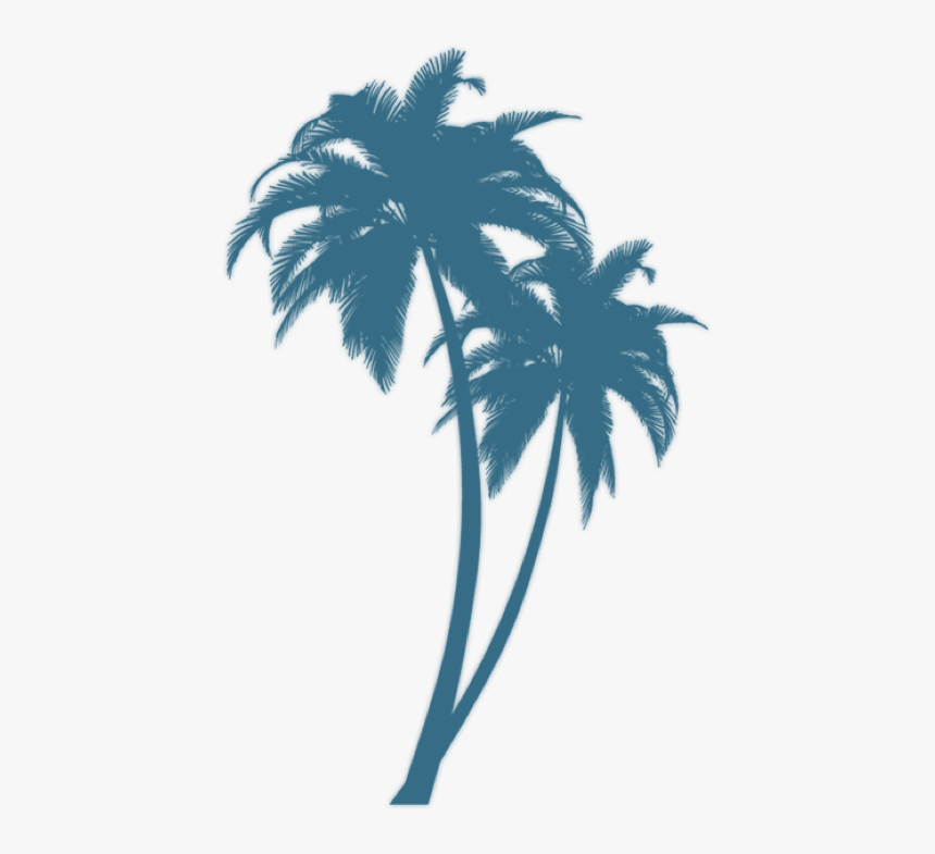 Black Palm Tree Design, HD Png Download