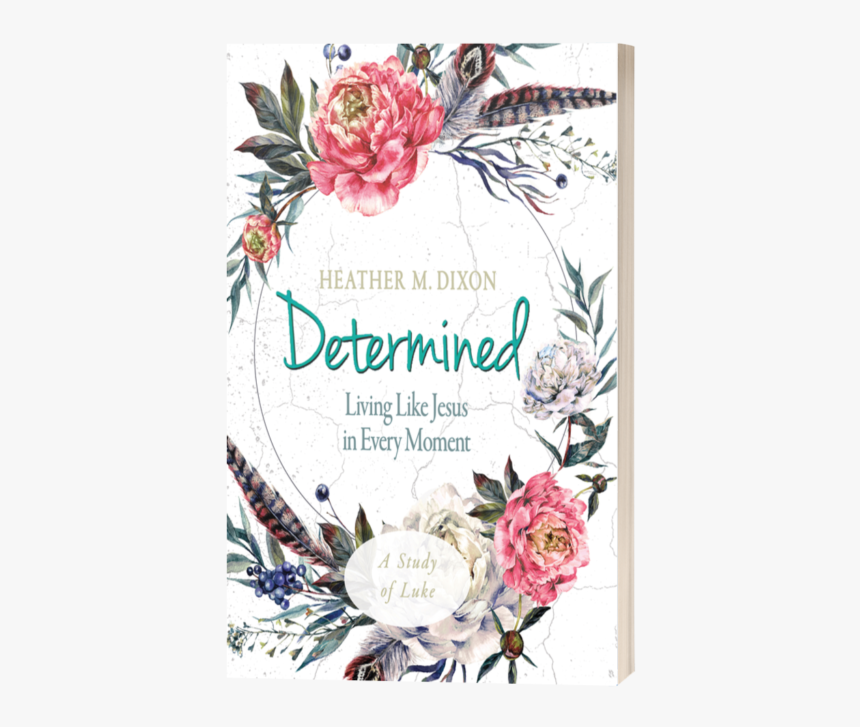Determined - Women's Bible Study Participant Workbook:, HD Png Download