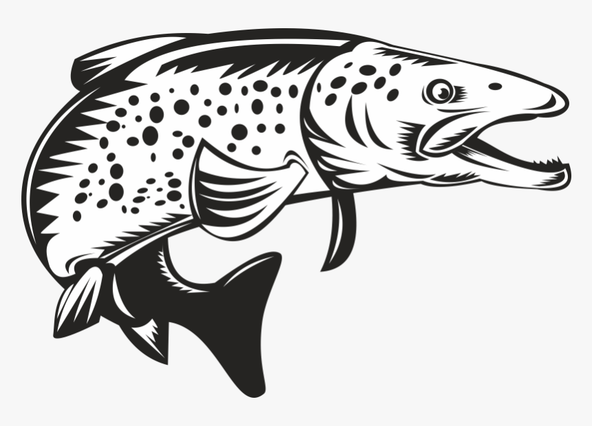 Brook Trout Sea Trout Clip Art - Speckled Trout Vector, HD Png Download