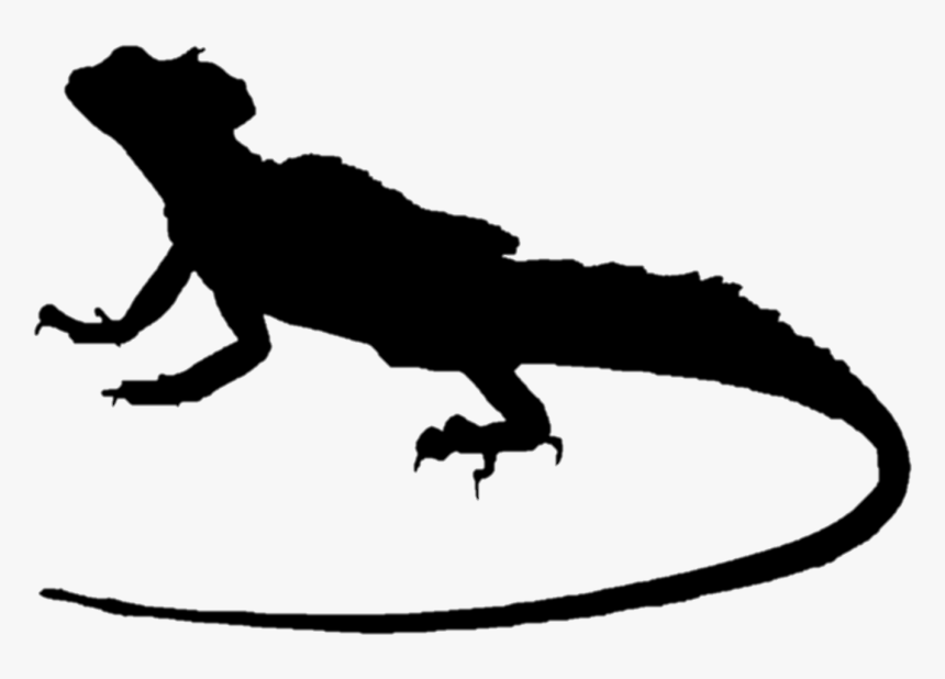 Lizard Plumed Basilisk Common Basilisk Green Iguana - Iguana Silhouette, HD Png Download