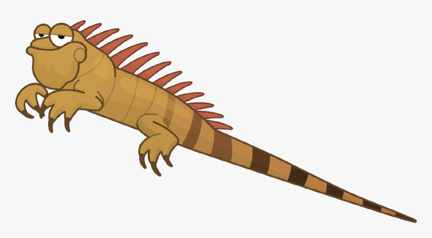 Green Iguana, HD Png Download