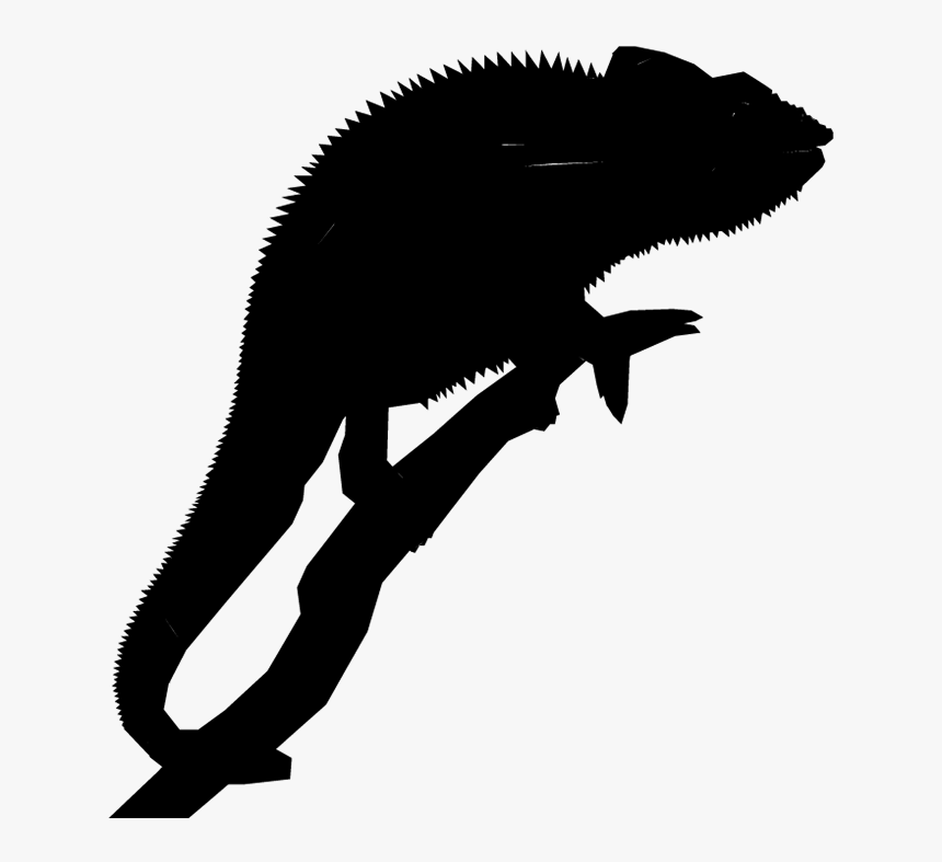 Mammal Silhouette Font Black M - Silhouette, HD Png Download