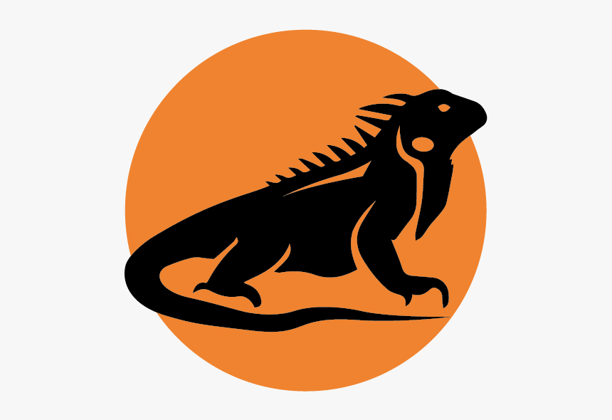 Iguana Png, Transparent Png