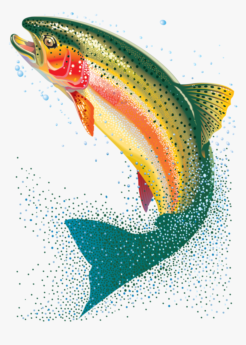 Transparent Background Trout Clipart Png , Png Download - Transparent Background Trout Fish Png, Png Download