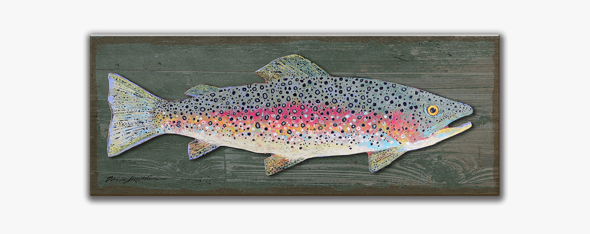 Brown Trout, HD Png Download