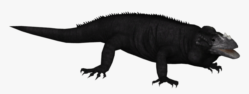 Mona Island Iguana - Iguana, HD Png Download