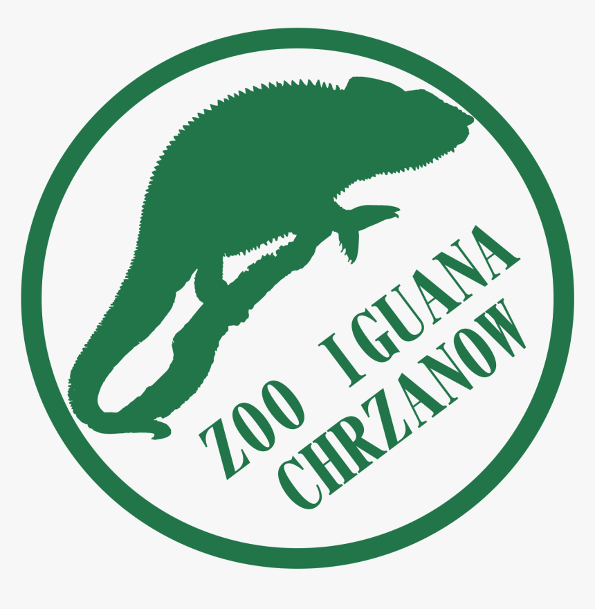 Web Cam Icon, HD Png Download