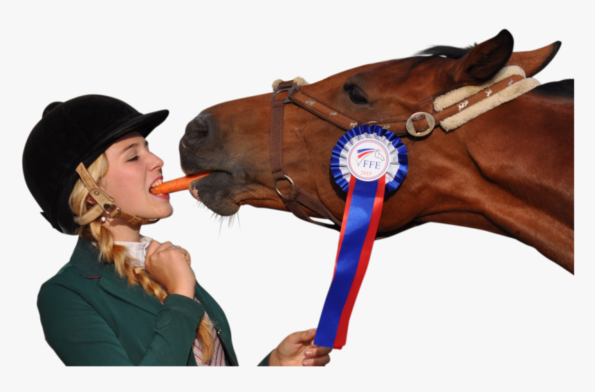 Girl Eating Carrot With Horse Png Image - Horse And Girl Eating Carrot, Transparent Png