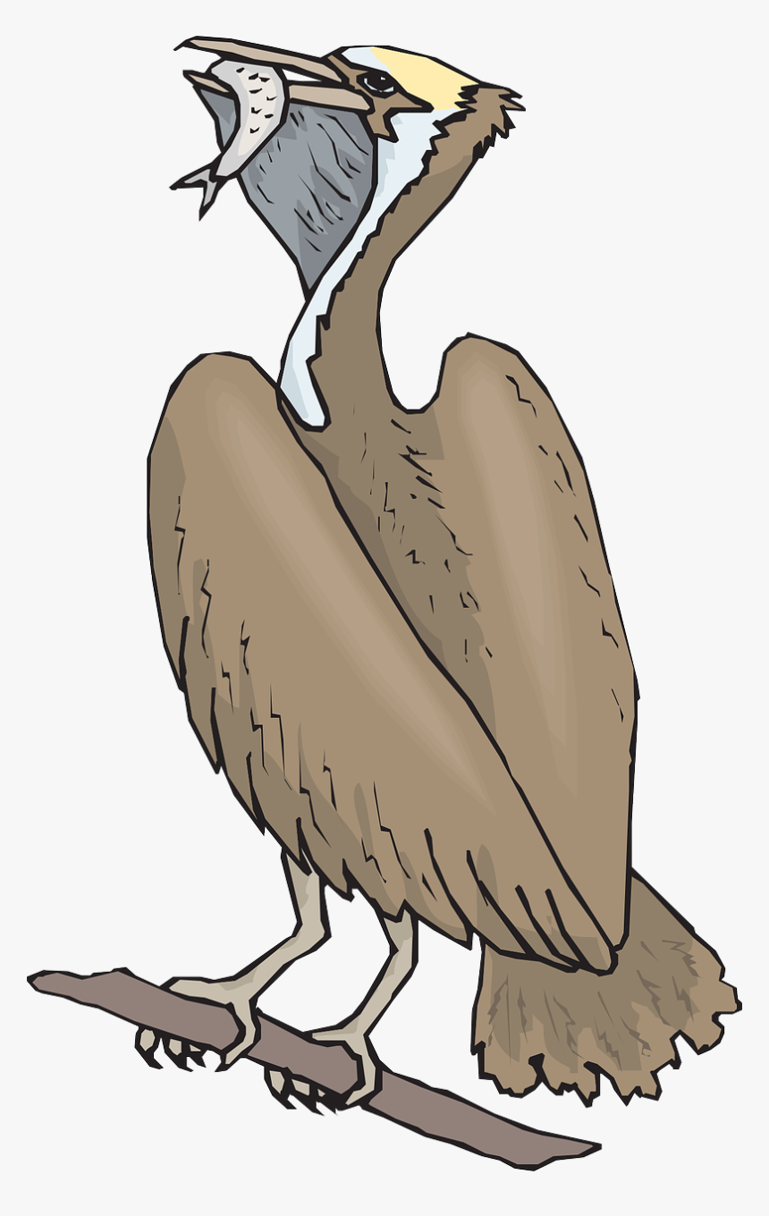 Fågel Som Äter Fisk, HD Png Download