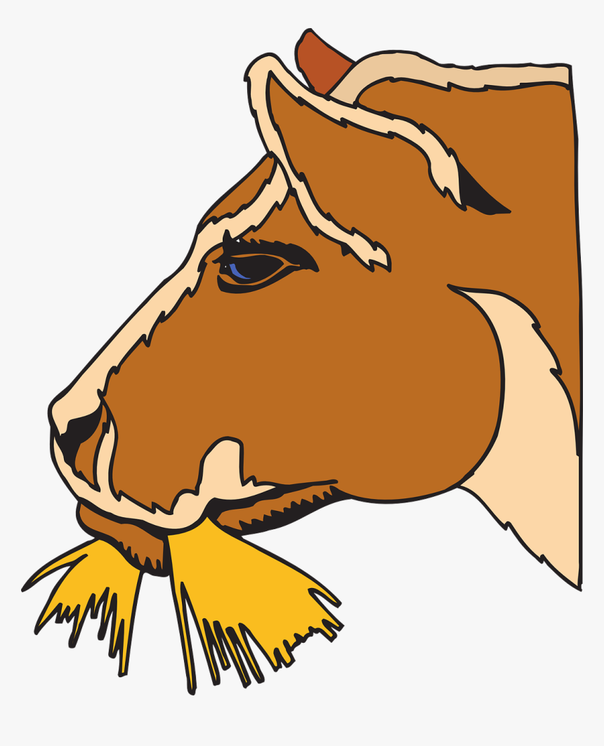 Horse Hay Clipart, HD Png Download