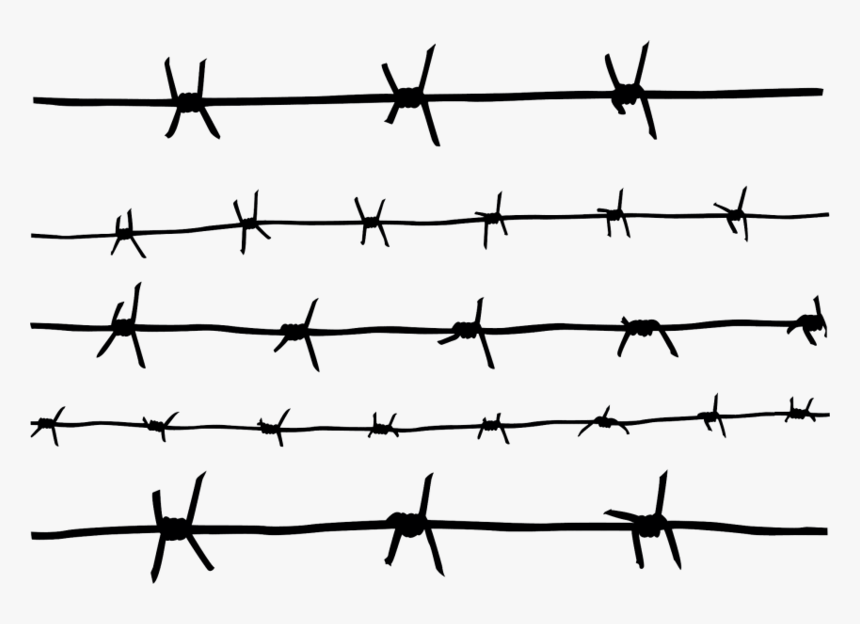Barbwire Png Pic, Transparent Png