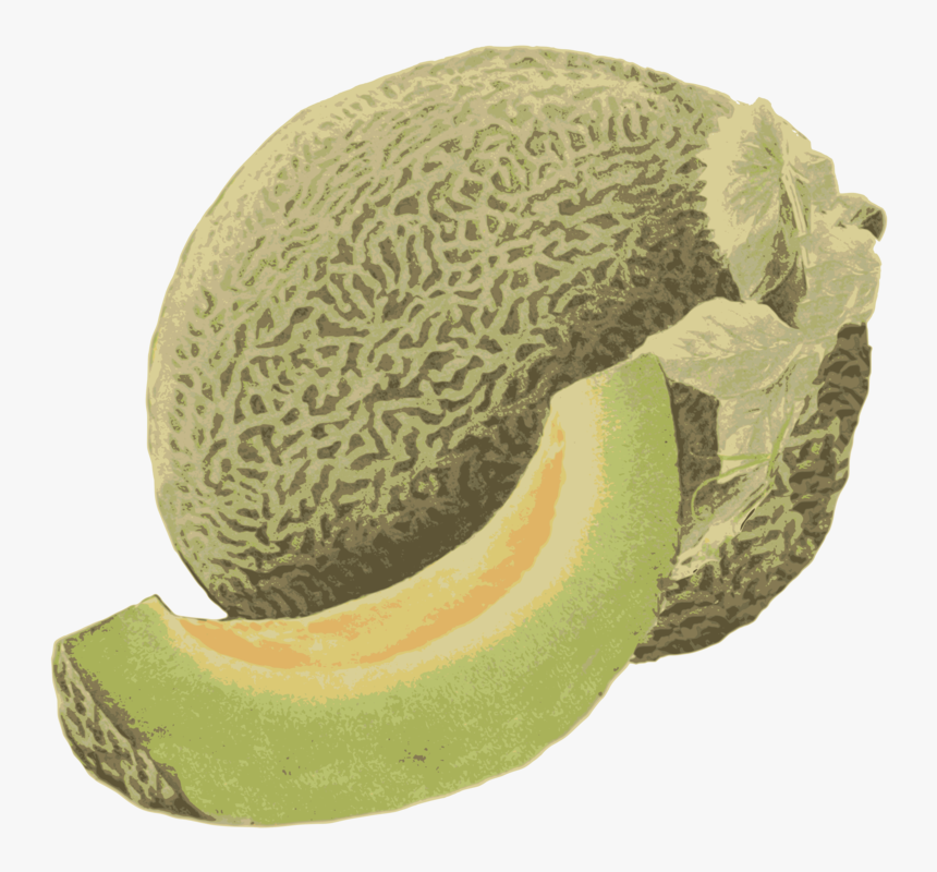 Cantaloupe,honeydew,food - Honeydew, HD Png Download