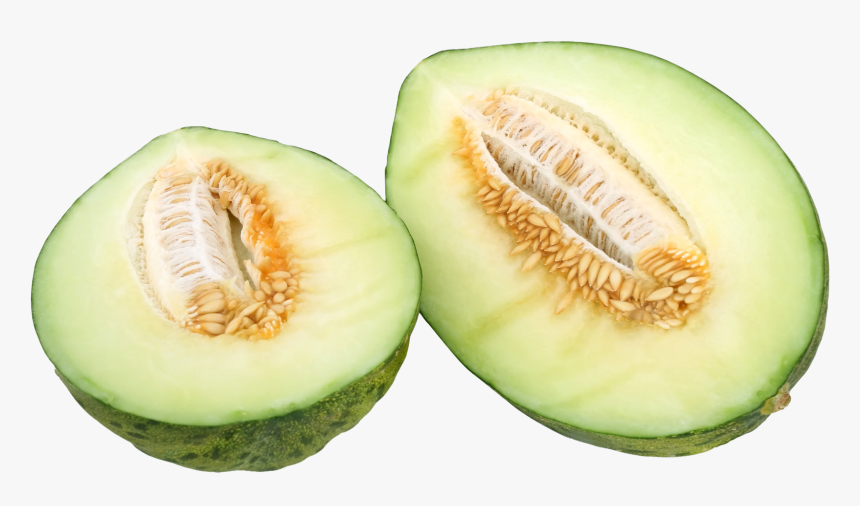 Honeydew Transparent Background, HD Png Download