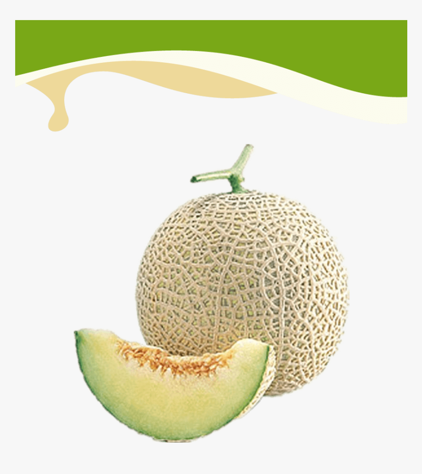 Honeydew, HD Png Download